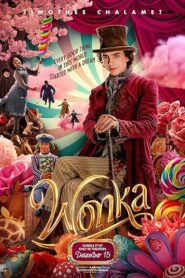 Wonka (Hindi)